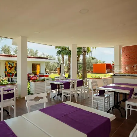 Fun&sun Smart Hane Sun