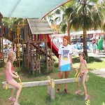 Fun&sun Smart Hane Sun シダ